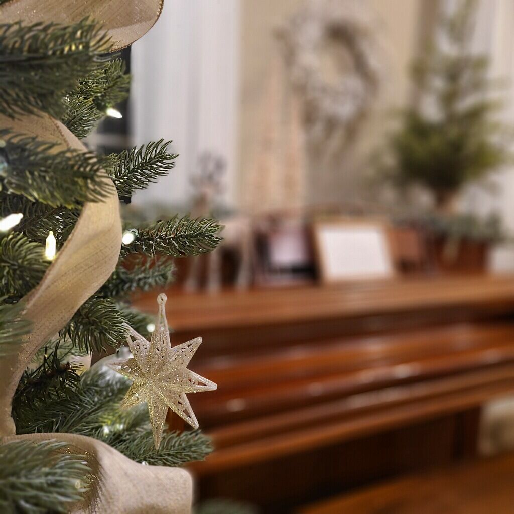 Women's Club of Manheim Holiday Tour of Homes